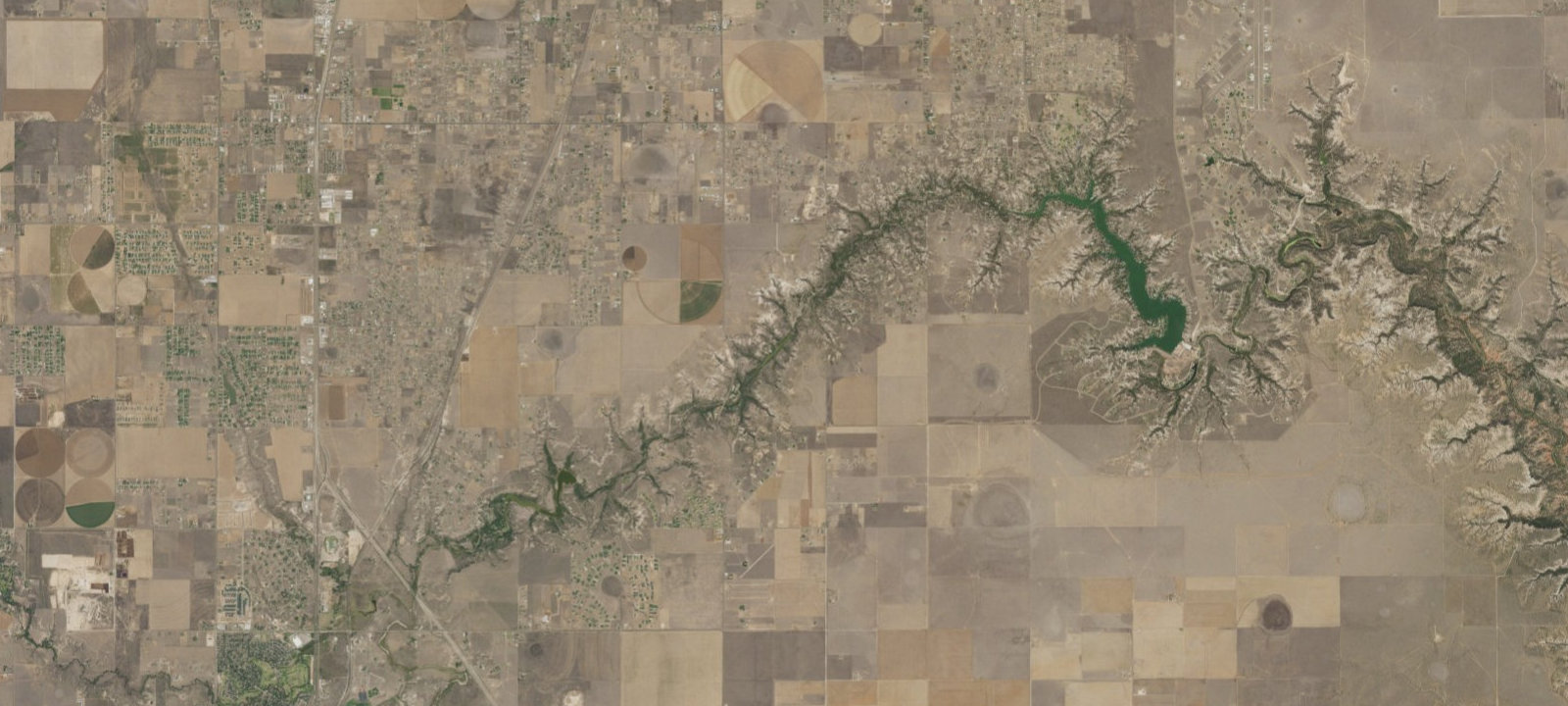 Map of Buffalo Willow