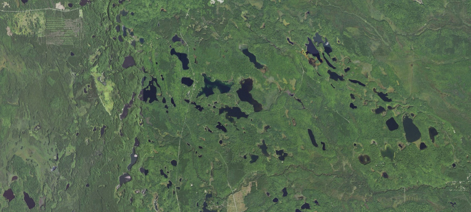 Map of Ewing Point Campsite