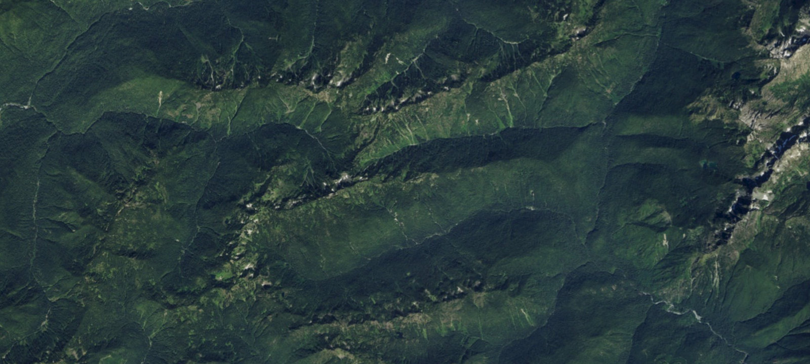 Map of Belview Camp