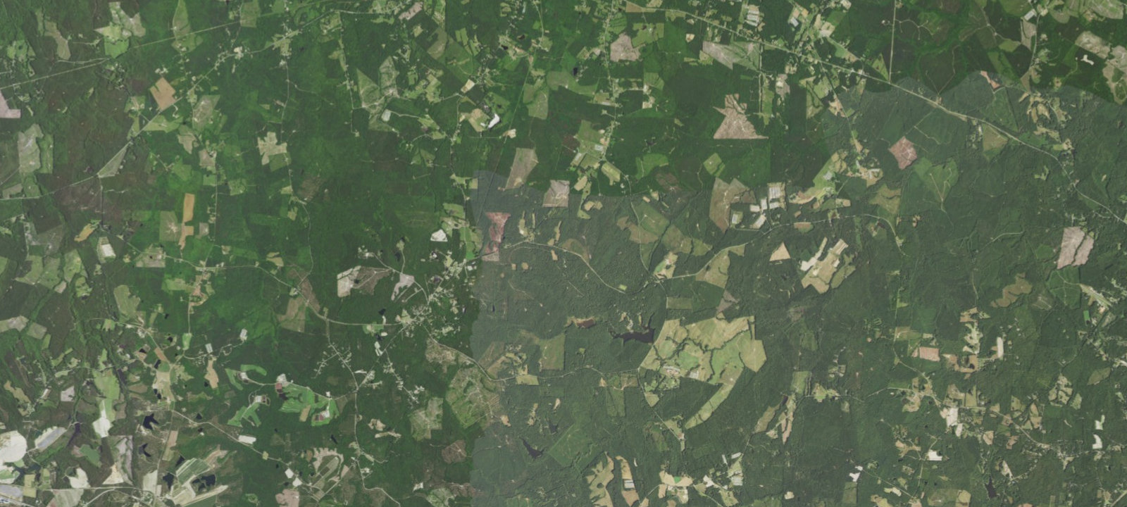 Map of Camp Reeves