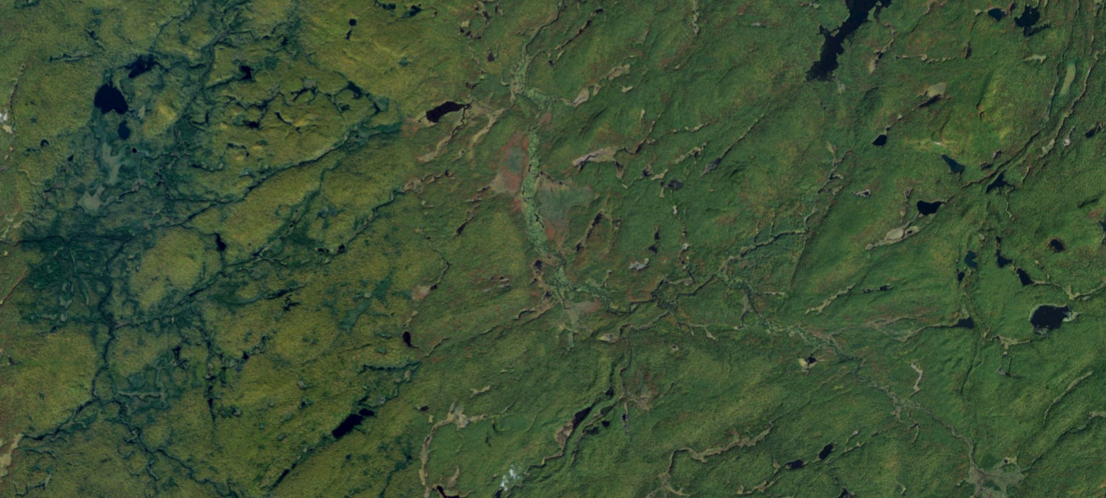 Map of Oswegatchie River Campsite 36
