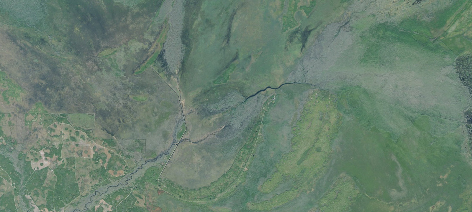 Map of Mixons Hammock Campsite