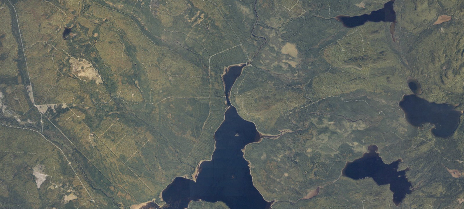 Map of Jaws (4)