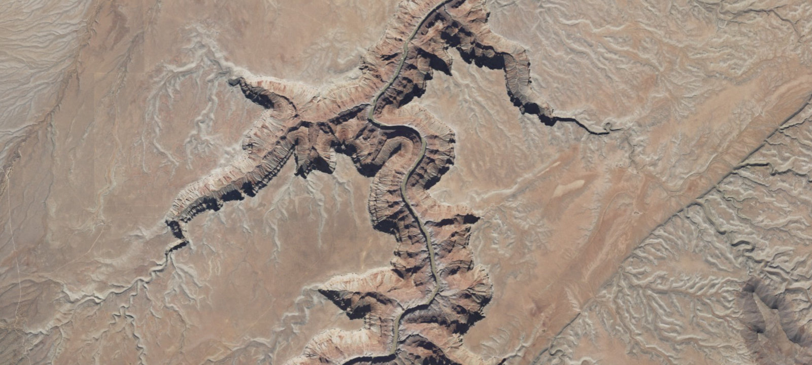Map of Little Redwall Camp