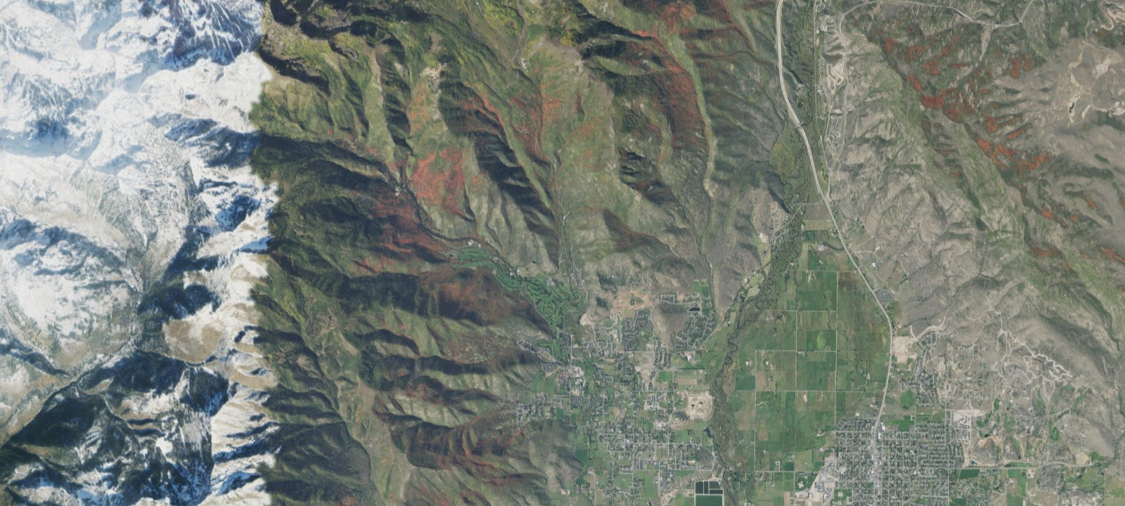 Map of Site 116 - Host