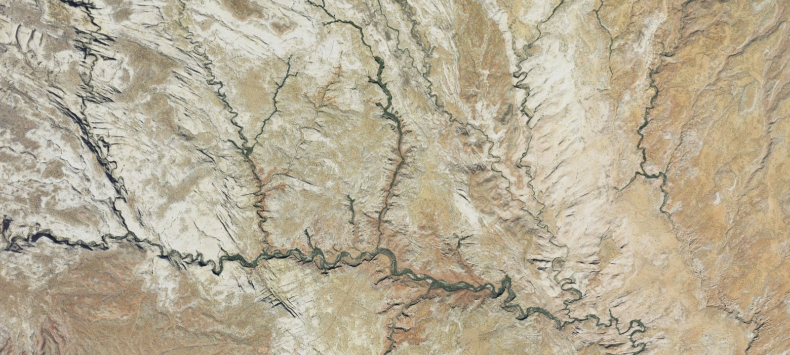 Map of Site 8