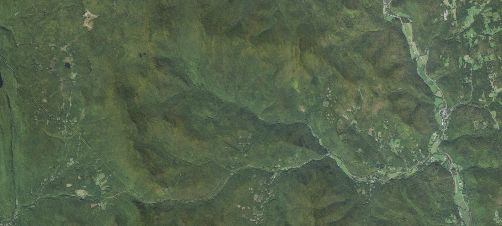 Map of Bingo Brook