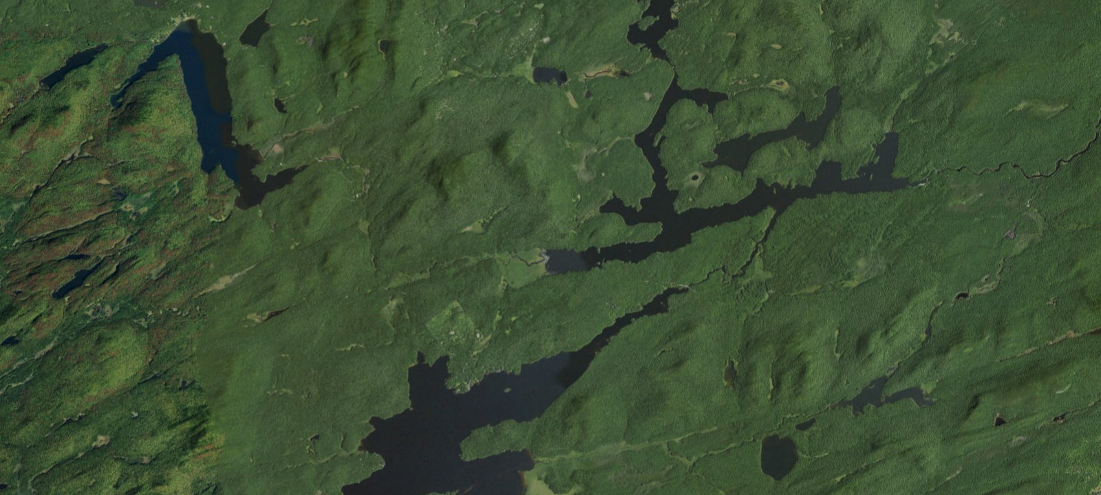 Map of Forked Lake West-end Campsite