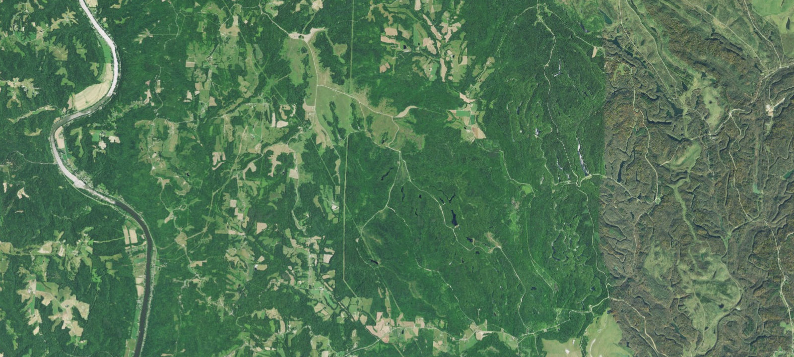 Map of Area 31 Campsite