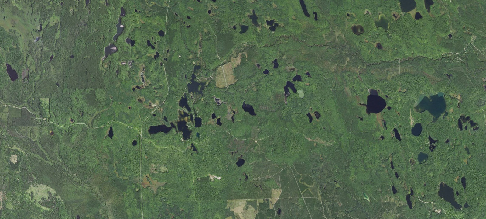 Map of Swan Lake Camping Area