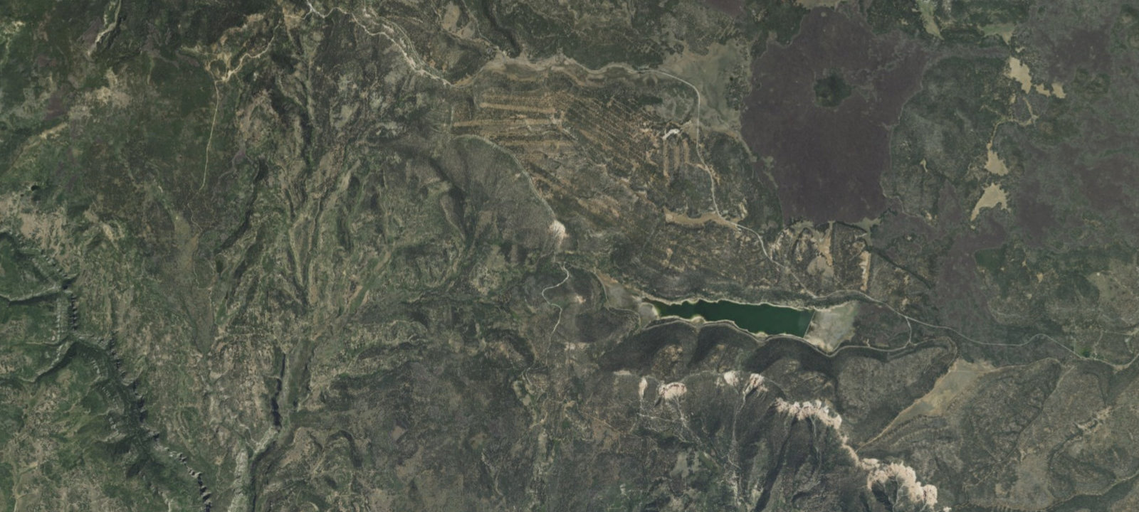 Map of Site 29