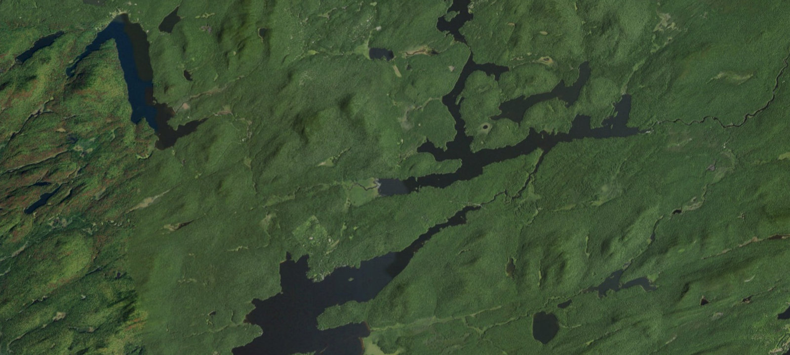 Map of Forked Lake West-end Campsite