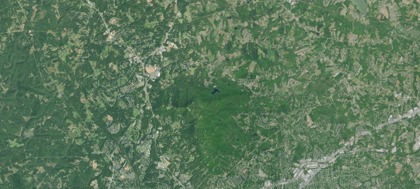Map of Ground Cedar
