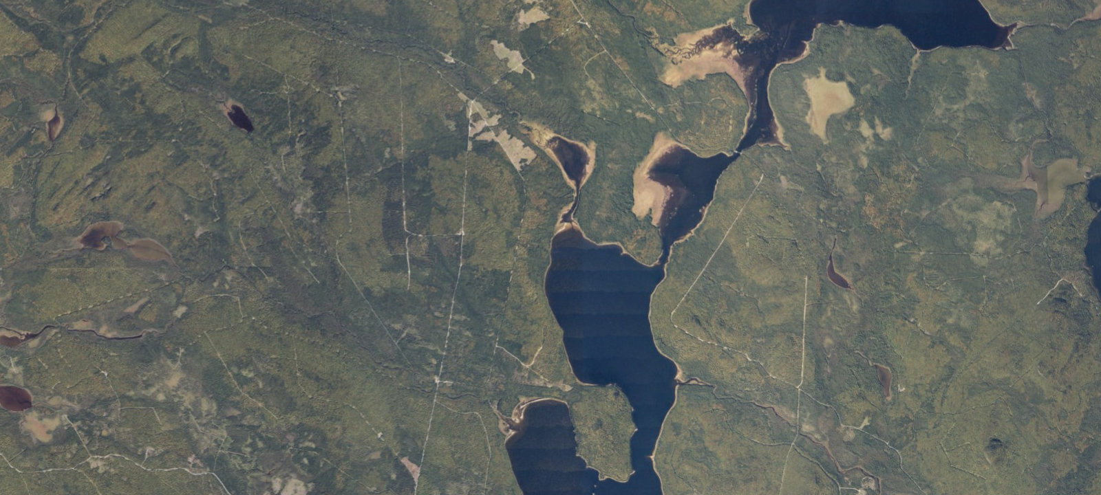 Map of Fred King (1)