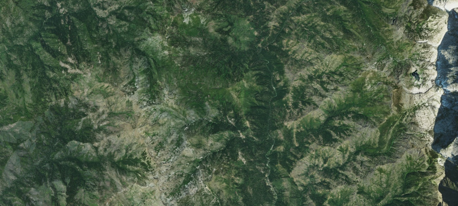 Map of Bear Wallow Camp
