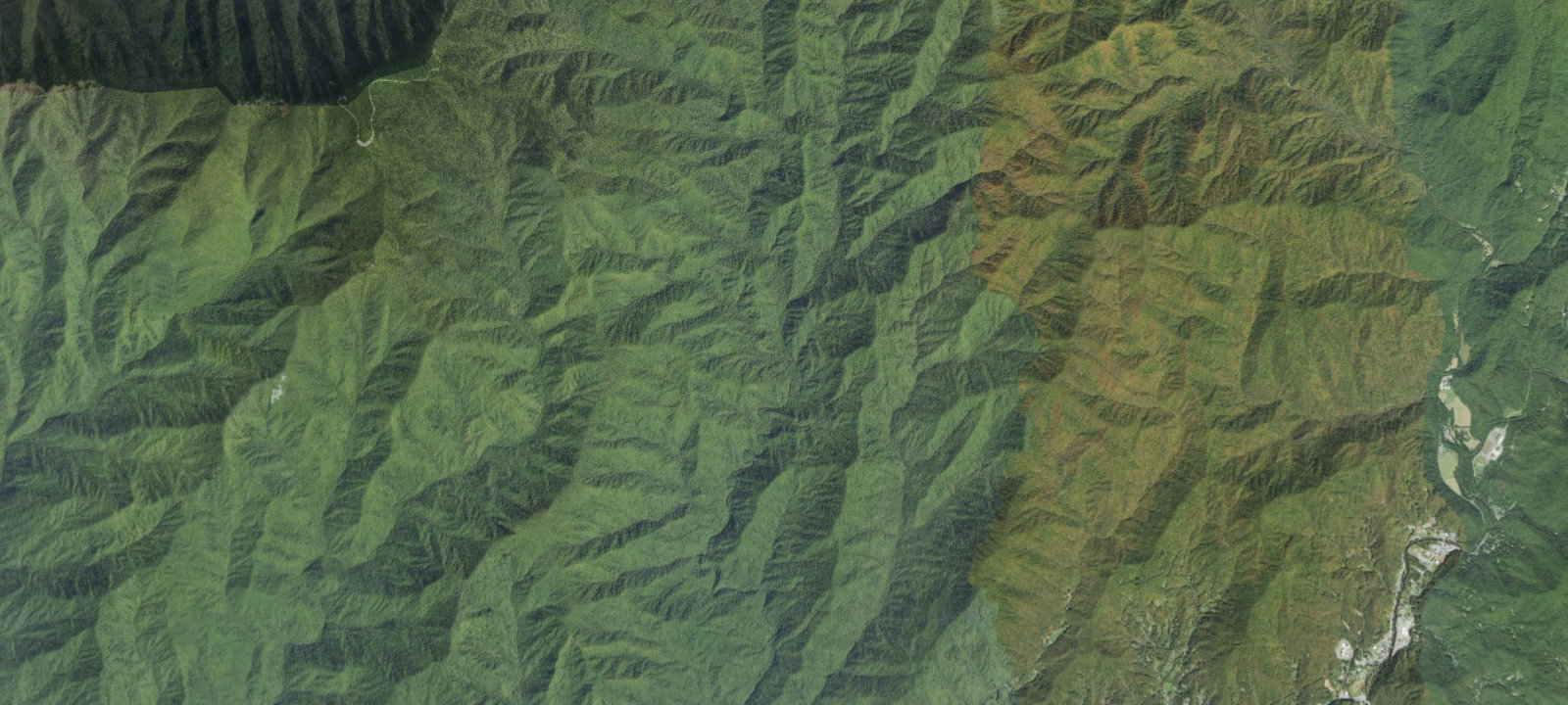 Map of Burnt Spruce Campsite #56
