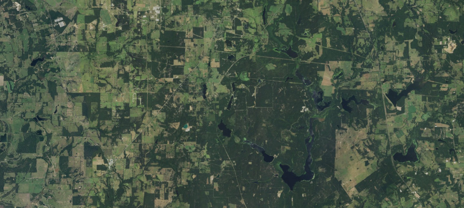 Map of Cypress Knee