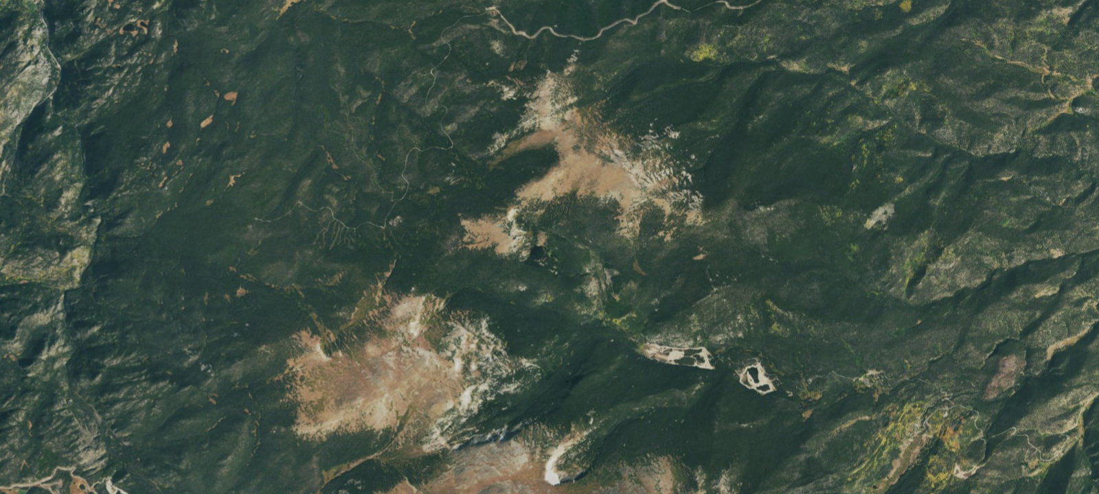 Map of Browns Lake Site 6