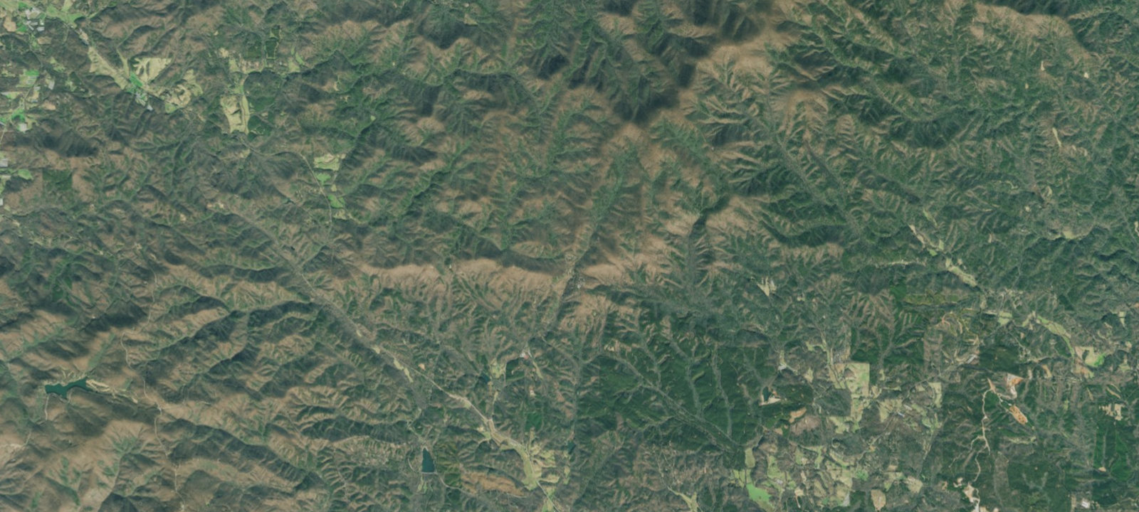 Map of Amicalola Falls State Park Campground