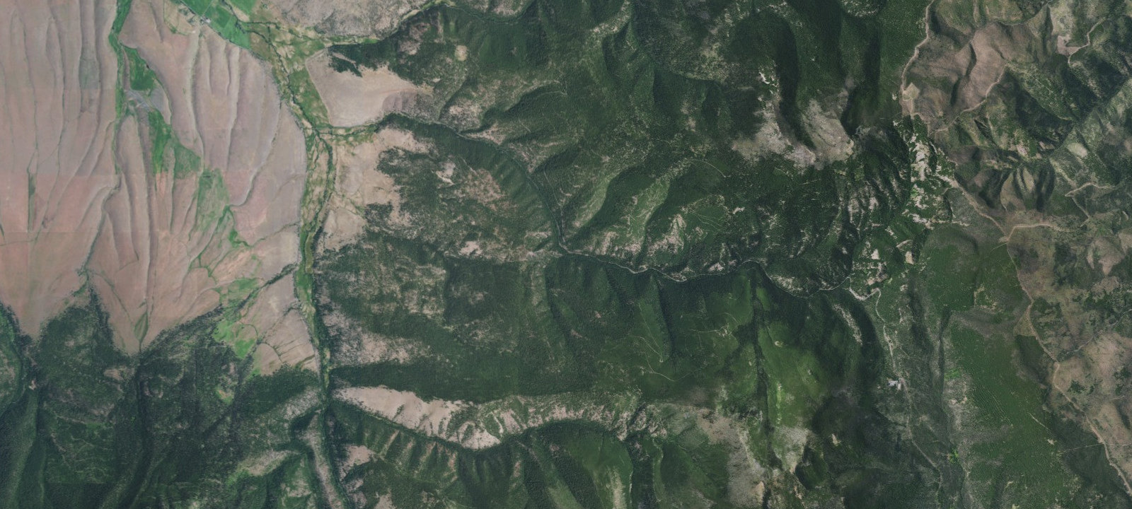 Map of Primitive Campsite
