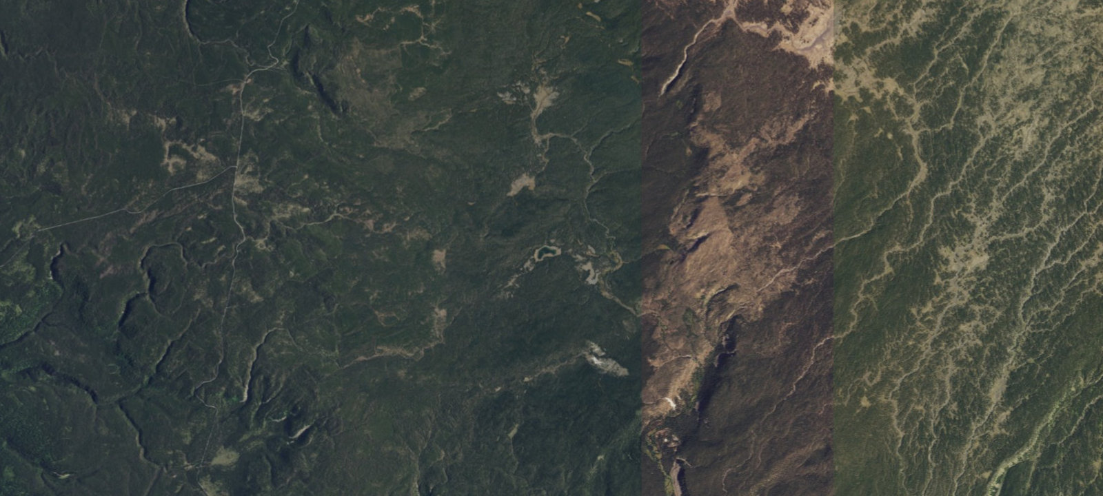 Map of Buffalo Lake