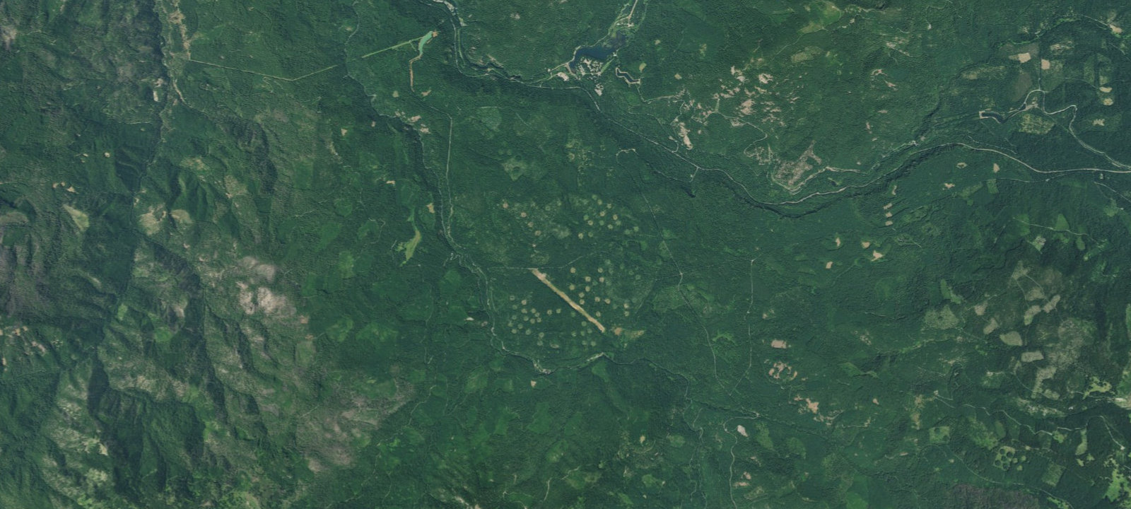 Map of Cedar Springs