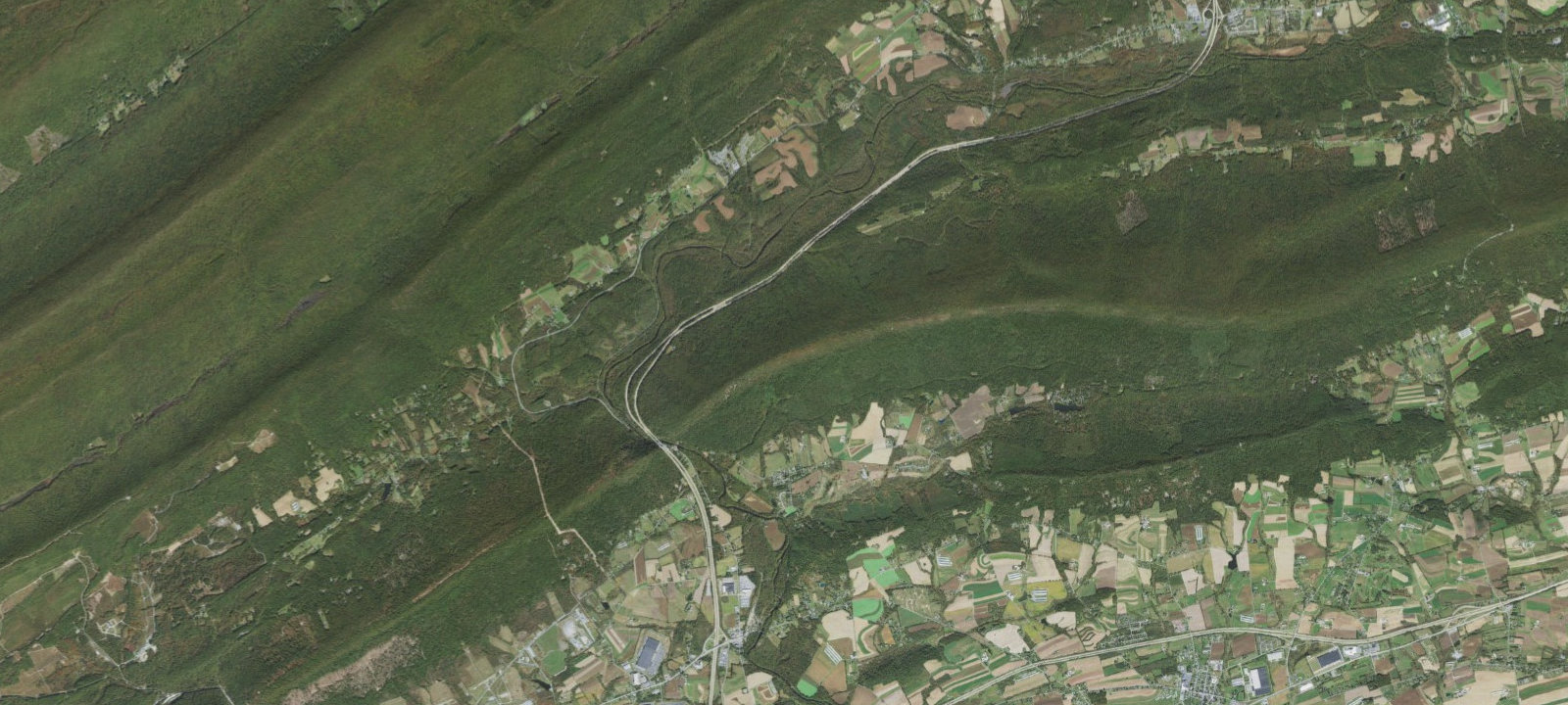 Map of forest campsite (no water)