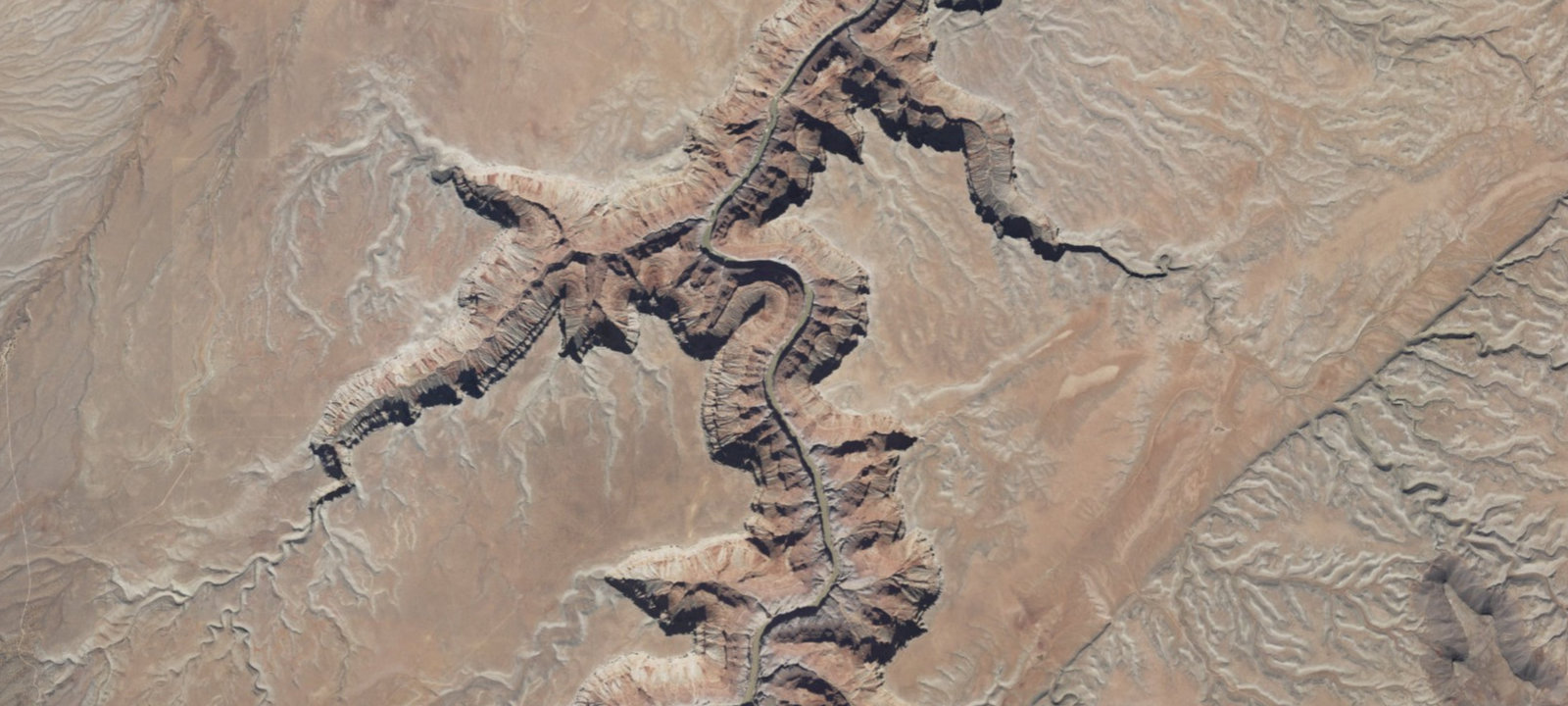 Map of Below Redwall Camp