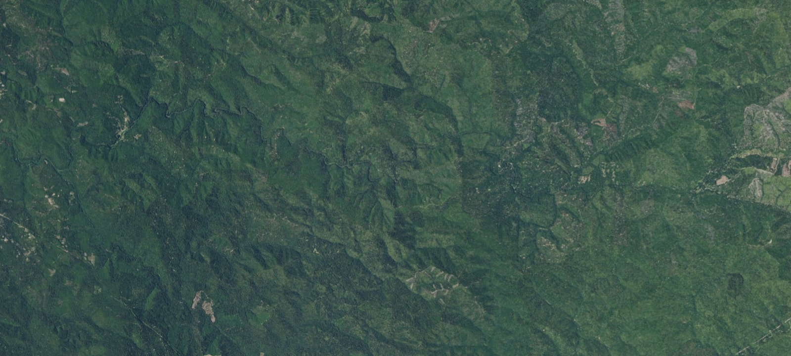 Map of Camp Noyo