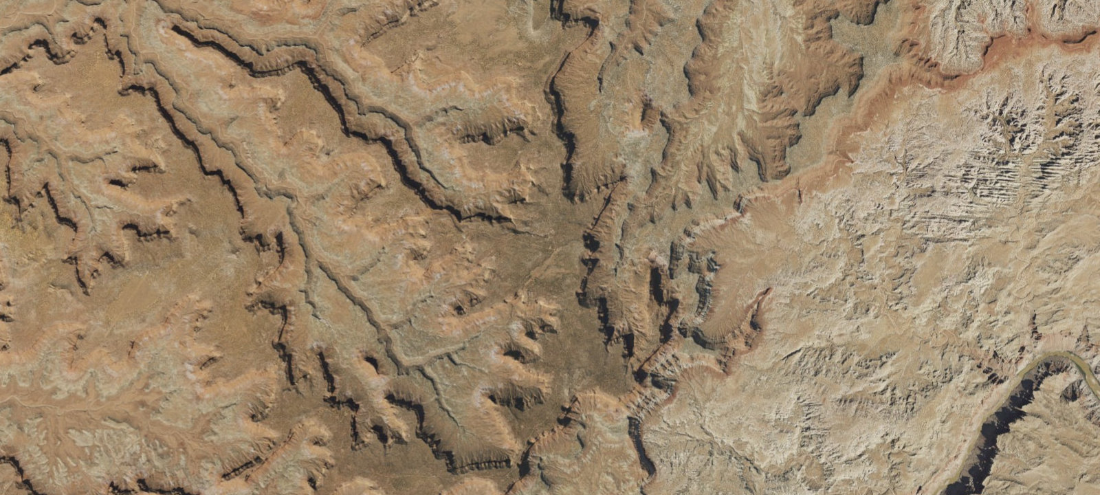 Map of Flint Seep Campsite