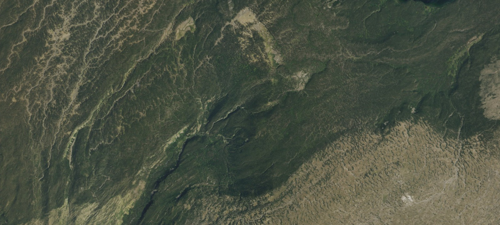 Map of 9D1 Gregg Fork