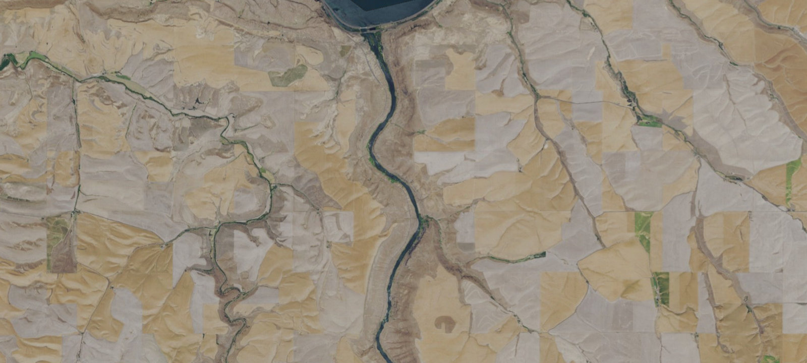 Map of Last Ditch Camp