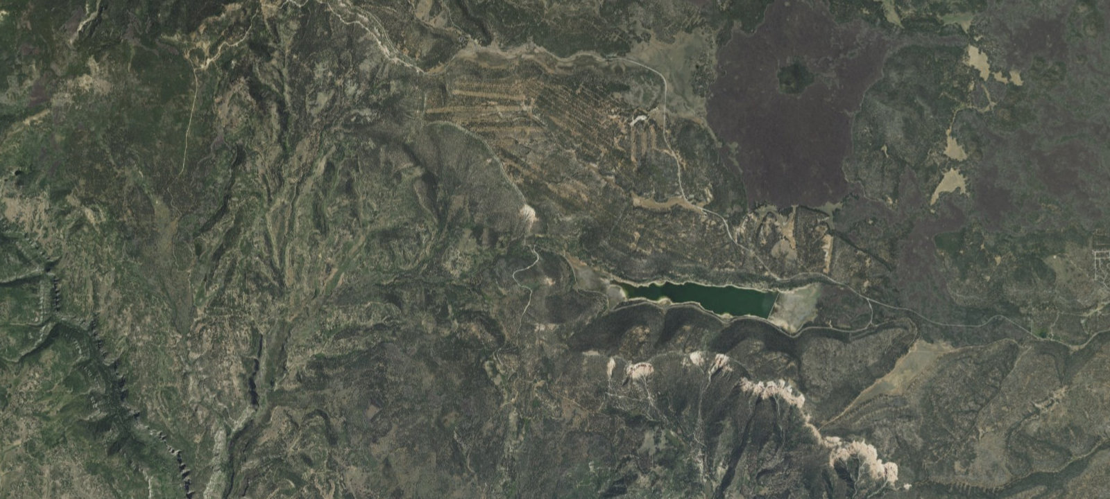 Map of Site 8