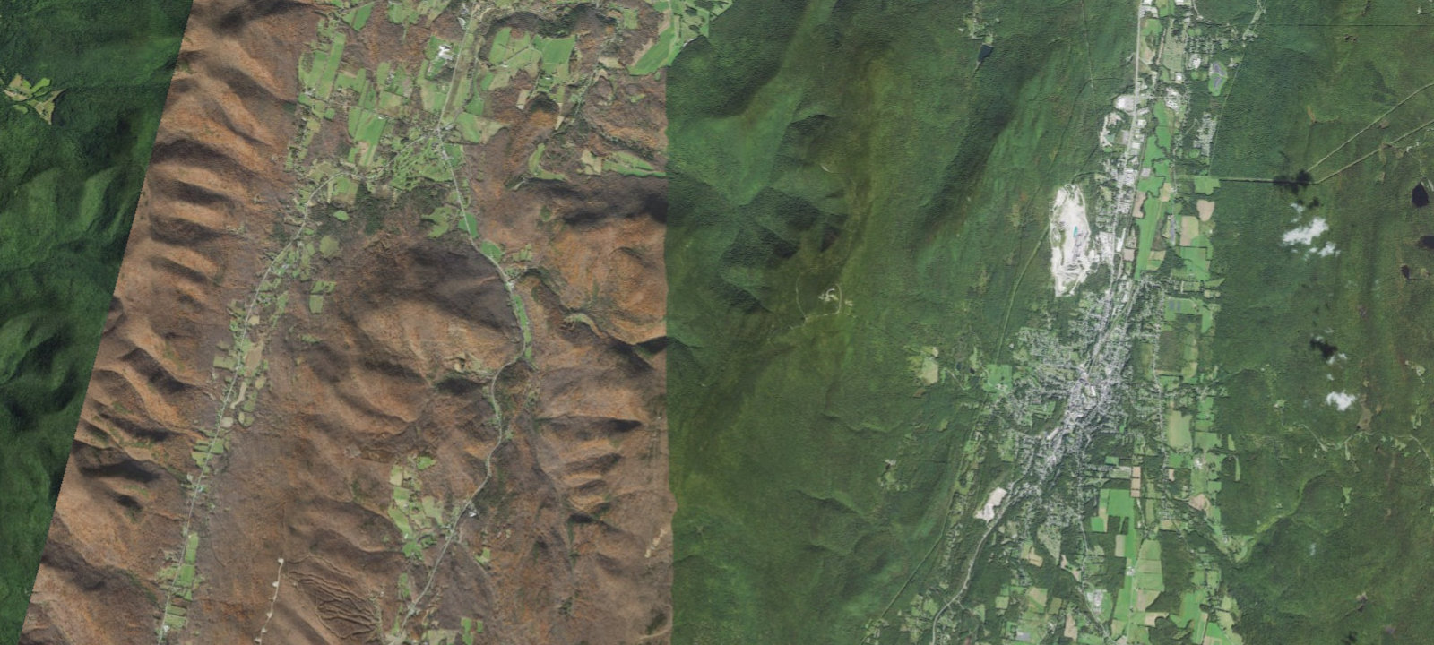 Map of Spruce Group Site