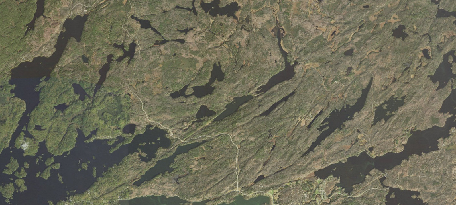 Map of Bass Lake Site 2