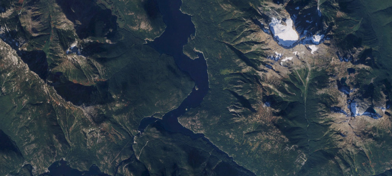 Map of Cougar Island
