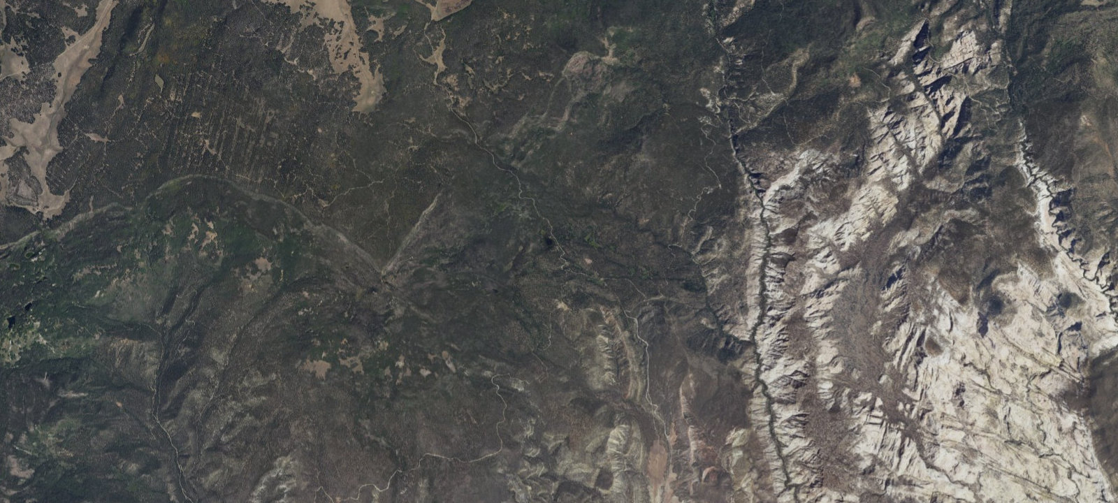 Map of Site 8