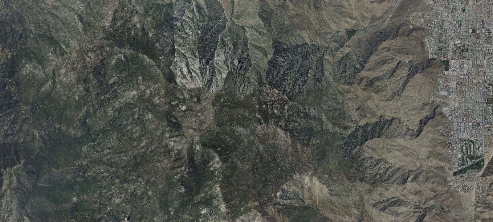Map of Stellar's Jay