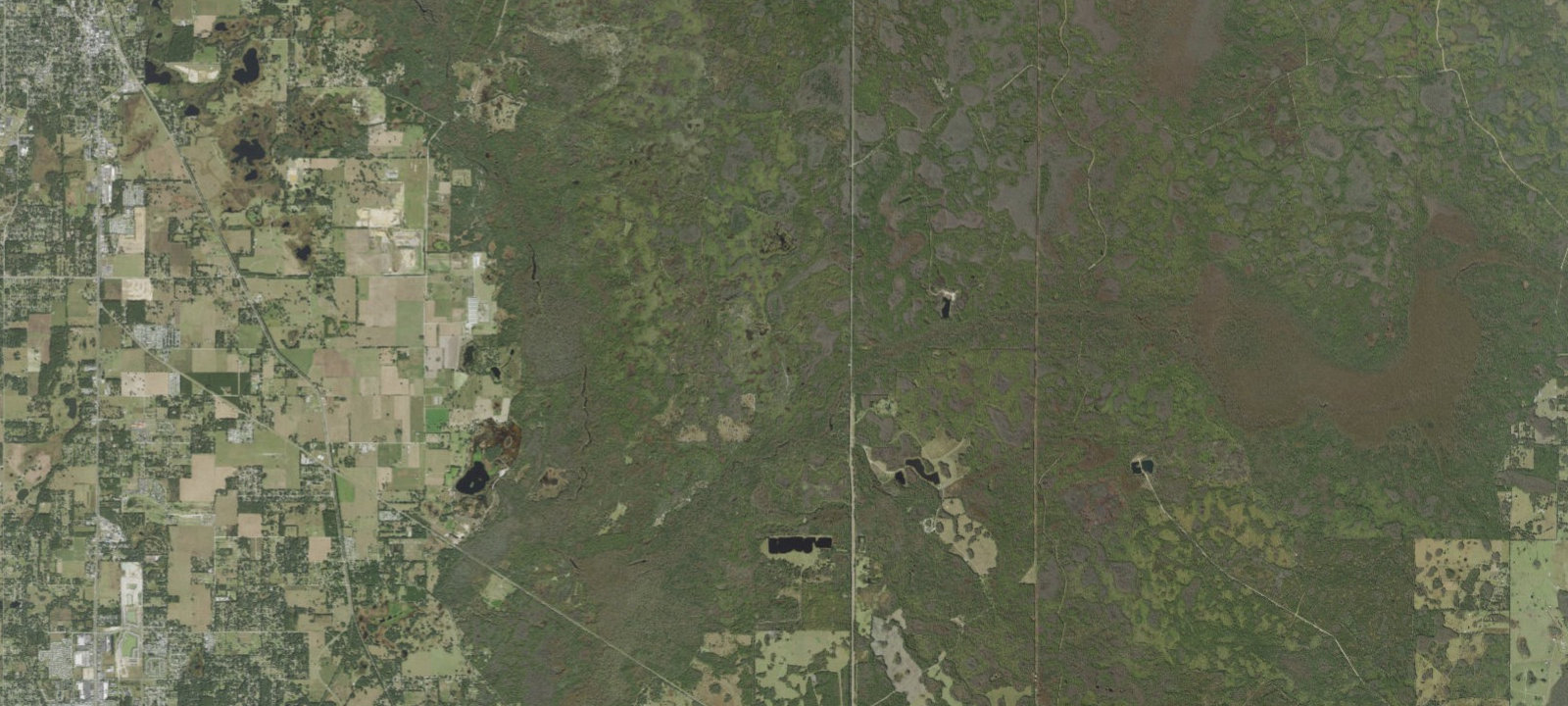Map of Gator Hole
