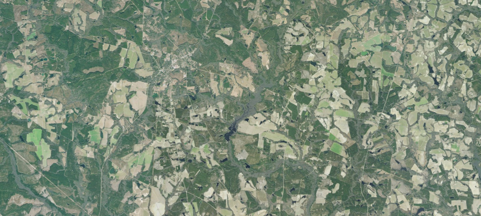 Map of Primitive 2