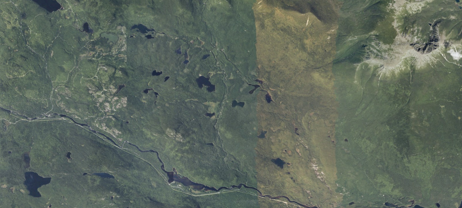 Map of Daicey Pond Cabins