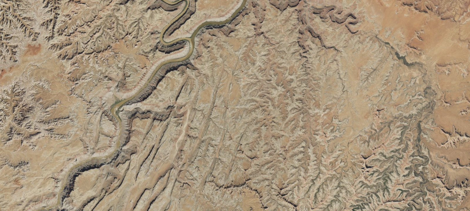 Map of New Bates Wilson