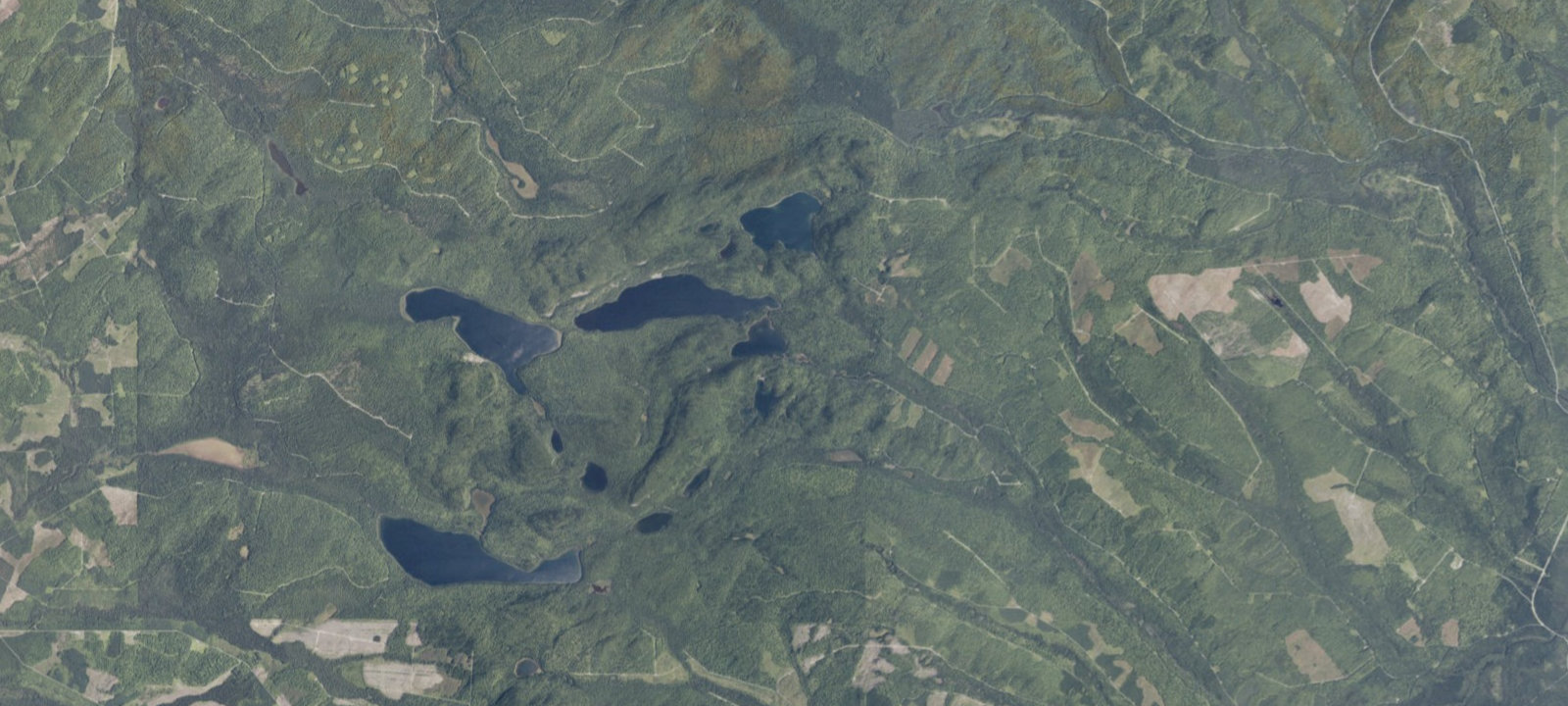 Map of Pushineer Pond