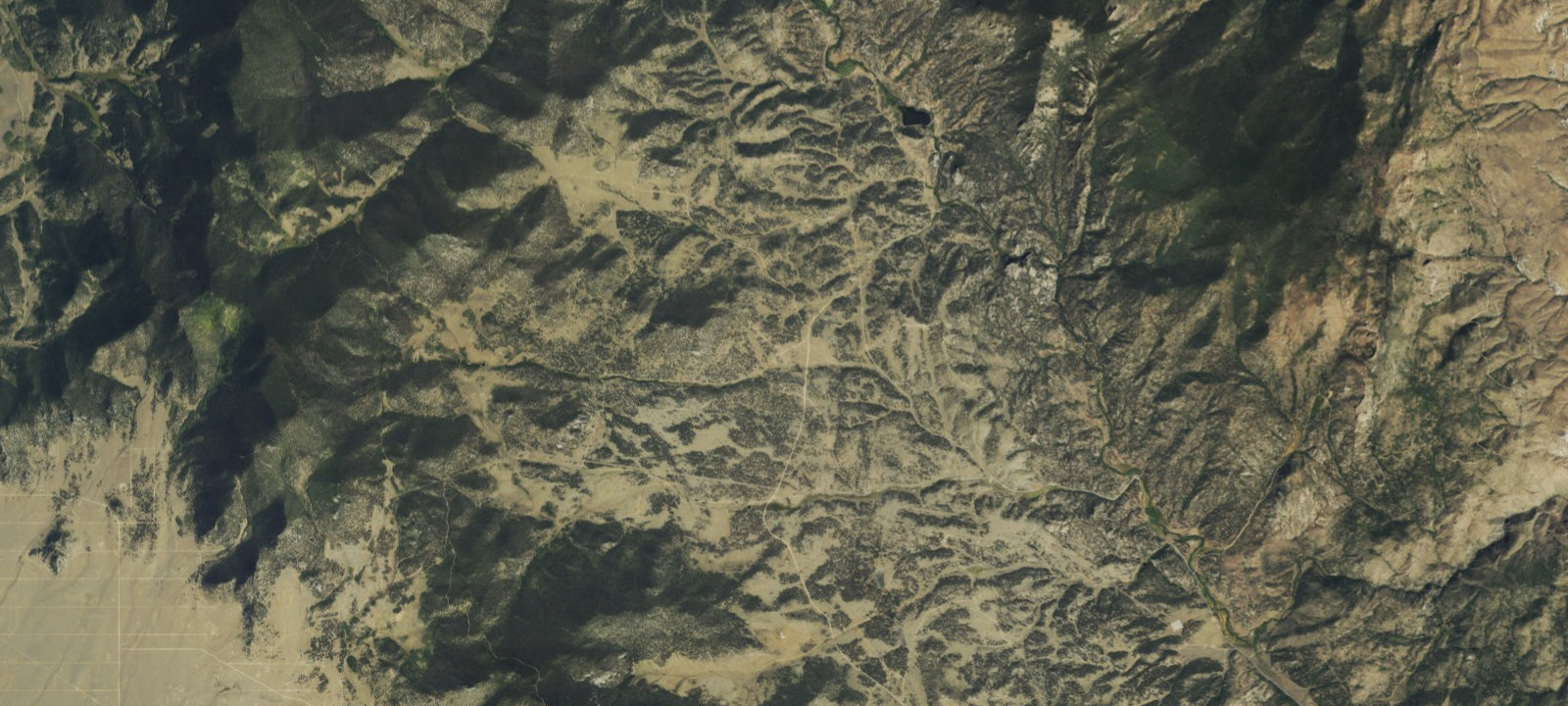 Map of Bear Cub Den