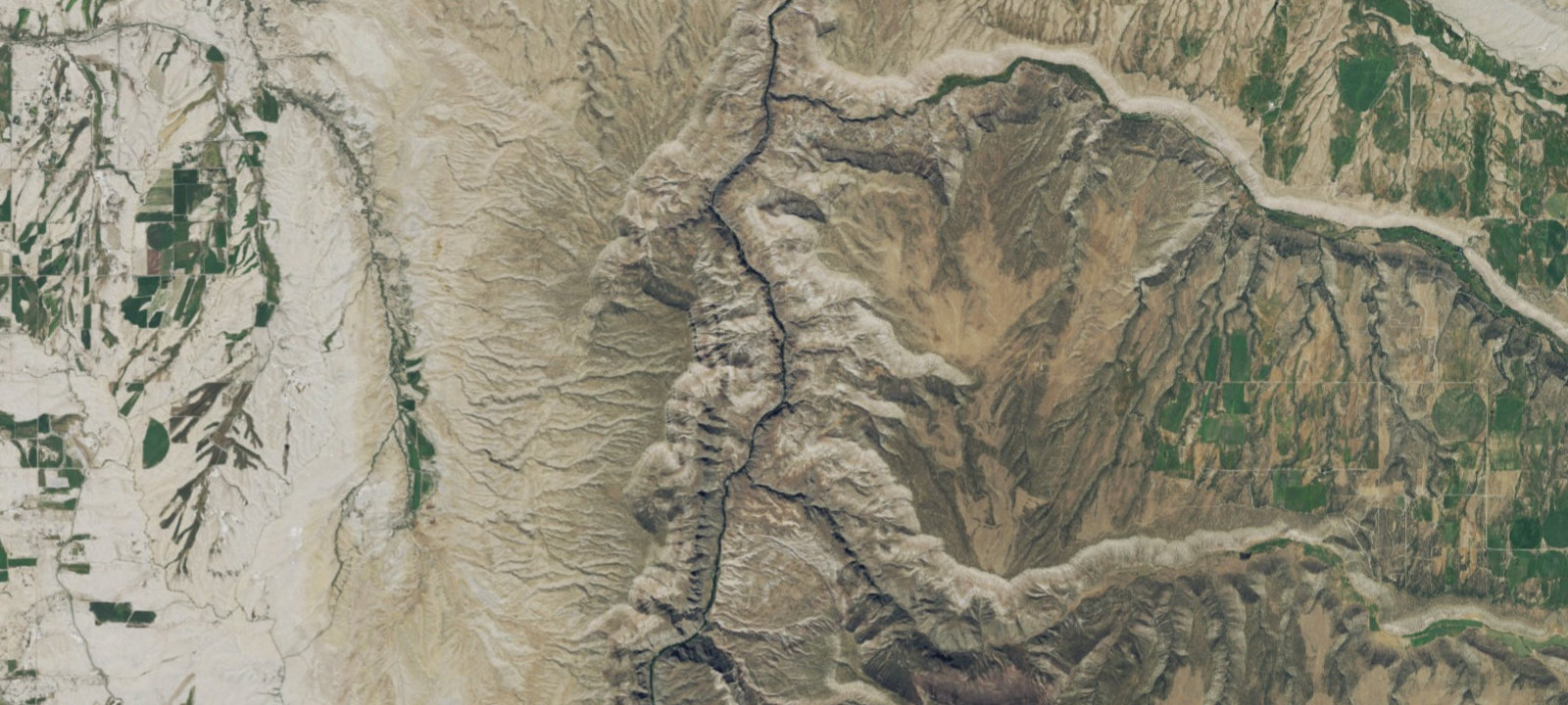 Map of Baby T-Rex