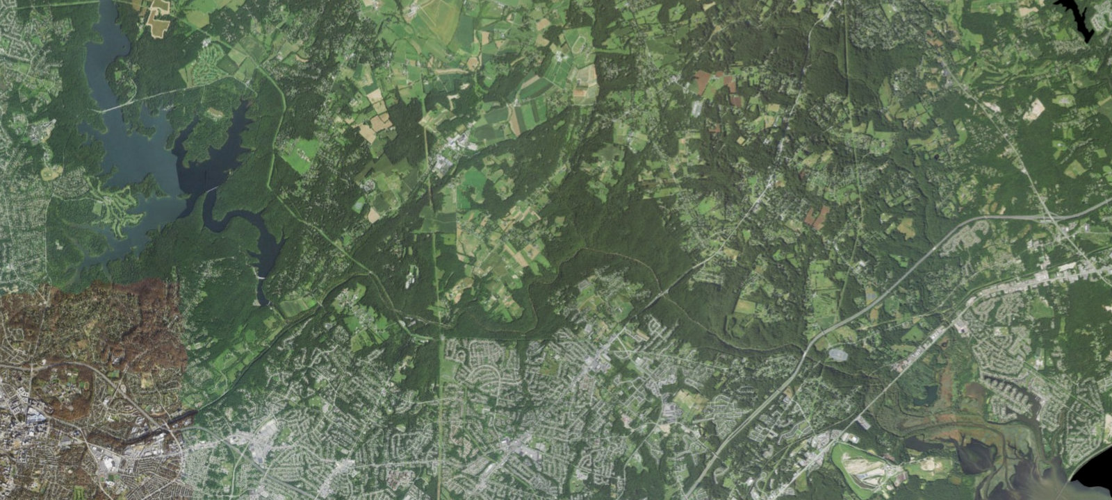 Map of Site 8