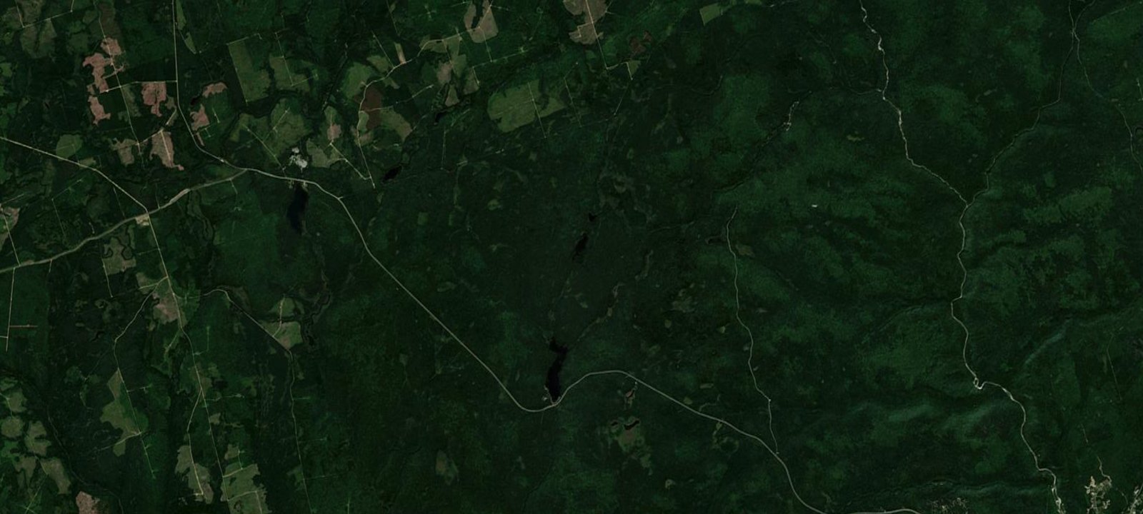 Map of Tracey Lake BackCountry Site 1