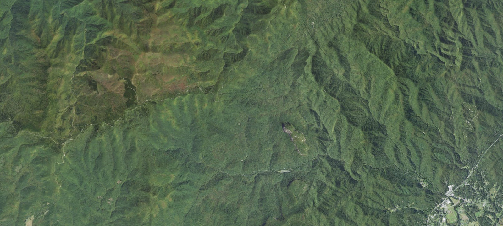 Map of Upper Cove Creek Roadside Campsites
