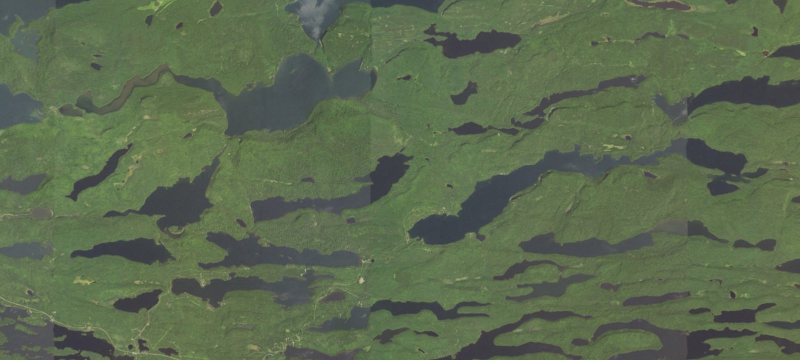 Map of Daniels Lake North camp site