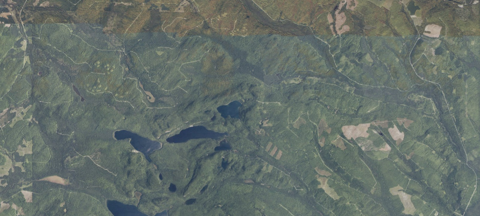 Map of Black Pond East